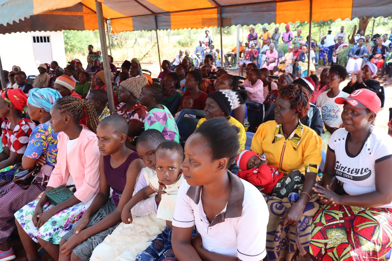 WhatsApp Image 2025-02-01 at 12.20.28